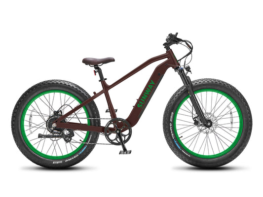 Fastron SO Fat Tire Ebike